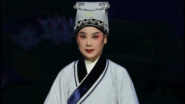 我张珍远道来投亲