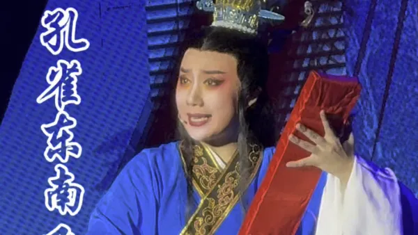 #越剧#孔雀东南飞 #越剧小生 尤梦姗（中樾越剧团）#戏曲 #地方戏曲文化