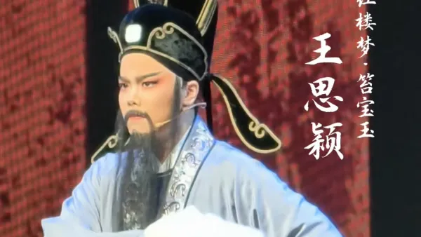 红楼梦/苔宝玉 王思颖
