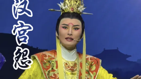 #越剧 #汉宫怨 对月思妻～杨爱妮 #越剧小生 #戏曲