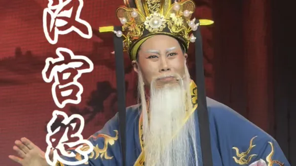 #越剧 #汉宫怨 胡娟娟（可恨你倚势骄横心毒狠） #越剧老生 #戏曲