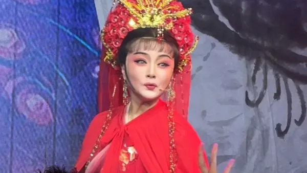 孔雀东南飞 #尤梦姗#陈苹苹