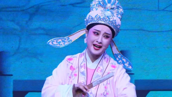 越剧《孟丽君》见画像百感生·王健