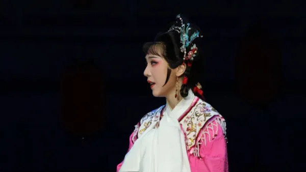 张郎你休要如此讲