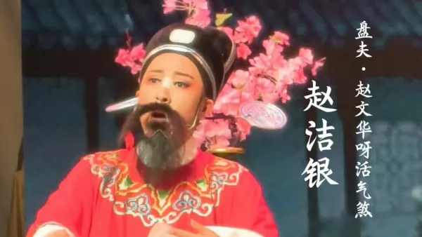 赵洁银 赵文华呀活气煞 
