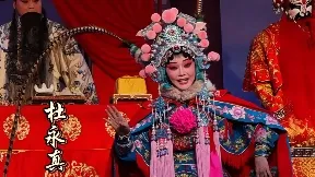 豫剧《穆桂英大破天门阵》杜永真