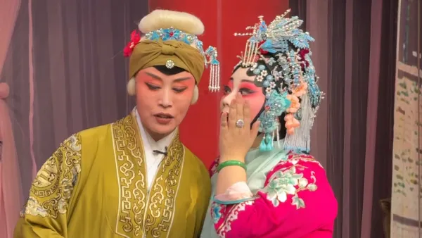 谢彦巧花打朝