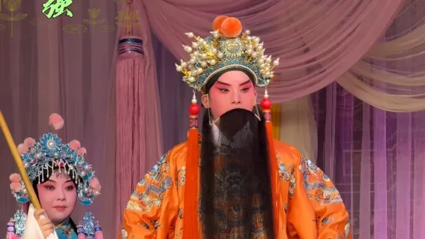 豫剧《花打朝》徐富强