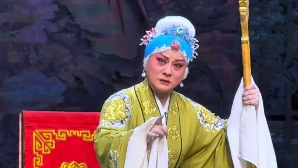 豫剧《对花枪》河南省豫剧二团李向锋