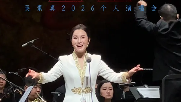豫剧《妇好》🍃