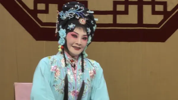 河南豫剧二团 王清芬版豫剧《风雨情缘》吴亚南 饰 黄桂英