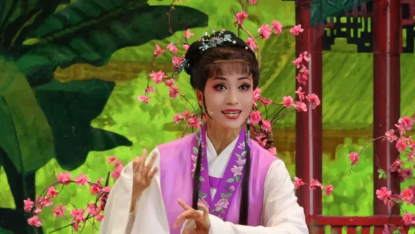 看宝玉虽是有情人