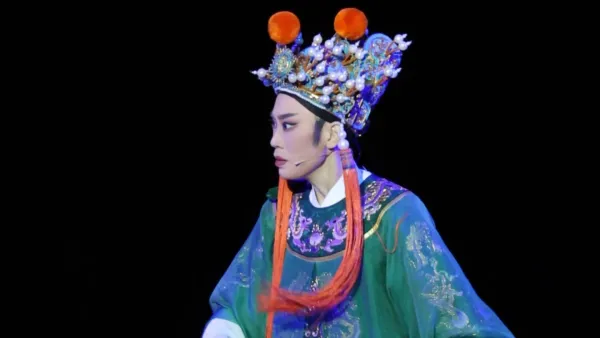 天赐活宝金丝猫