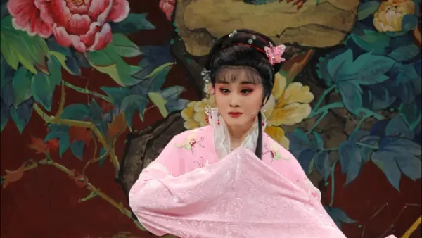 但见他喜气冲冲来访九妹