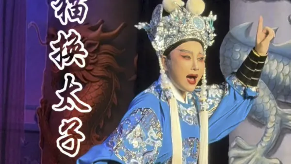 #越剧  #狸猫换太子  三次举起无情棒 →全场最燃的一段 #越剧小生熊莲芬 #椒江越艺越剧团