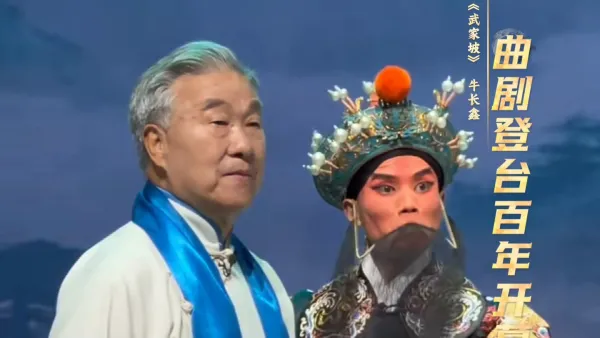 曲剧《武家坡》🍃