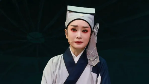越剧《珍珠塔》｜『廖琪瑛』。“虽说是千朵桃花一树开”。浙江小百花越剧院(浙越团)。