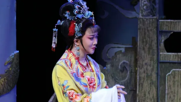 哦我看你去时好比鸟出林