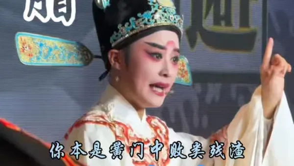 你本是黉门中败类残渣#越剧 #胭脂 #越剧小生 印莉莉 #戏曲 
