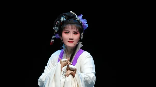 可惜你千丝万缕织成了一段离愁