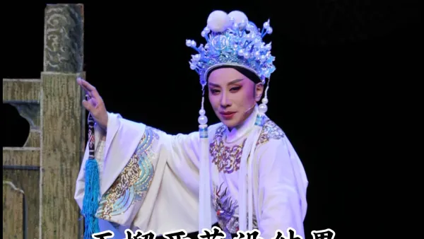 陈琳奉旨祝寿辰