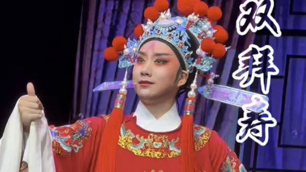 一见红灯怒火起 #越剧 #双拜寿 #打金枝 闯宫 #越剧小生 尤梦姗 台州市樾越剧团 