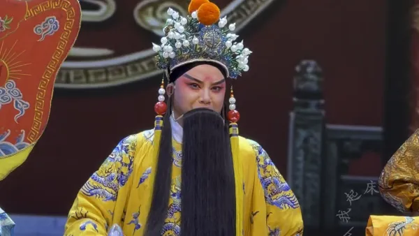 河南小皇后豫剧团《打金枝》 “有为王我金殿上观看仔细” 赵文东 饰 唐王