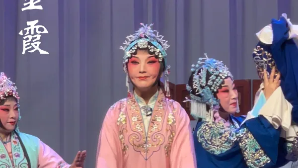 洛阳豫剧院 《秦雪梅》“慢说打 你就是杀我也要做吊到商家” 吴金霞 饰 秦雪梅