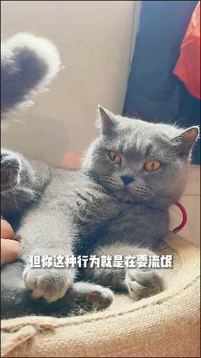 不可以掏咪小裤裆