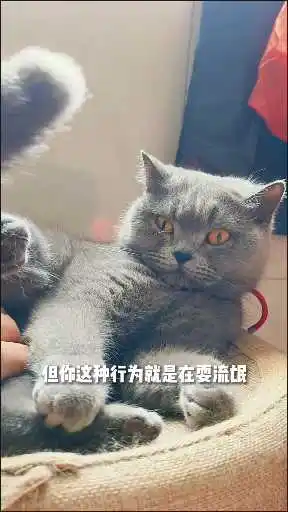不可以掏咪小裤裆