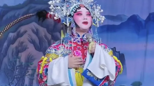 谢彦巧《对花枪》我教子养孙费心机