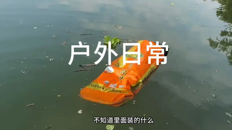 大家好，各位猜一下袋子里面装的会是什么呢！