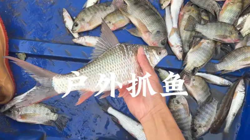 今天收获满满