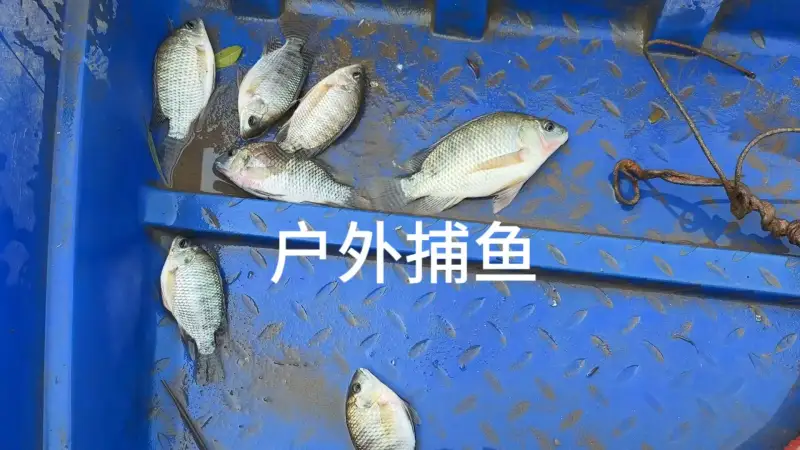 乡村的大河，虽不起眼，却是心中最美的风景。